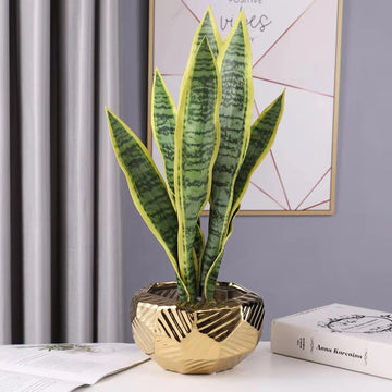Wide-Mouth Gold Vase – Luxury Wedding & Orchid Centerpiece