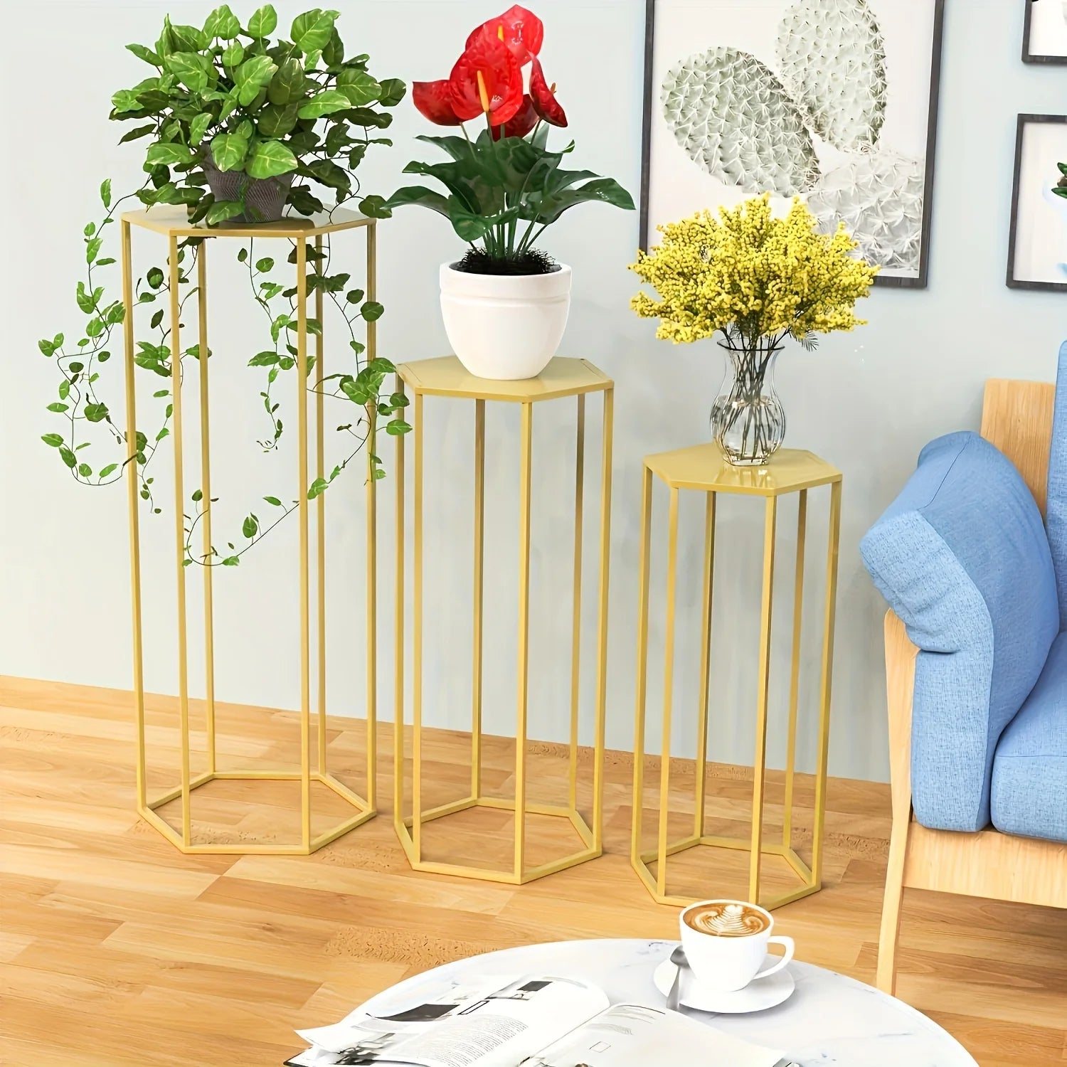 Hexagon Shelf Rack